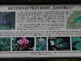 foto 03
