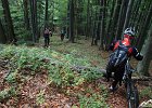 foto 042  Ale poprzewracane drzewa doprowadzały nas do szału. Psuły takie fajne fragmenty. Klima - masz zadanie :-)