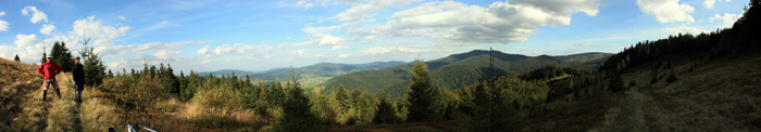 turbaczyk