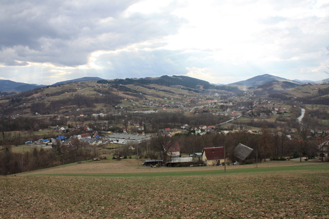 Łososina